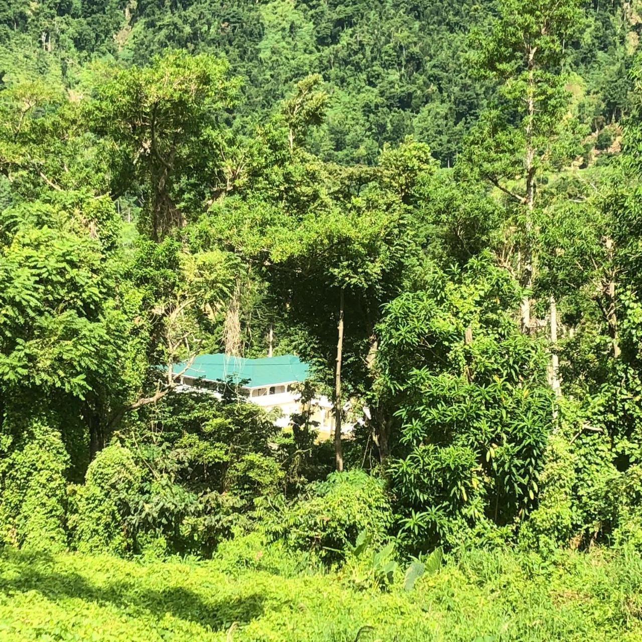 Soufriere Guesthouse Exterior foto